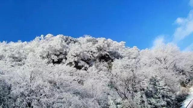 你的父亲给你传授过哪些经验,让你终生受益?-专业问答类网站