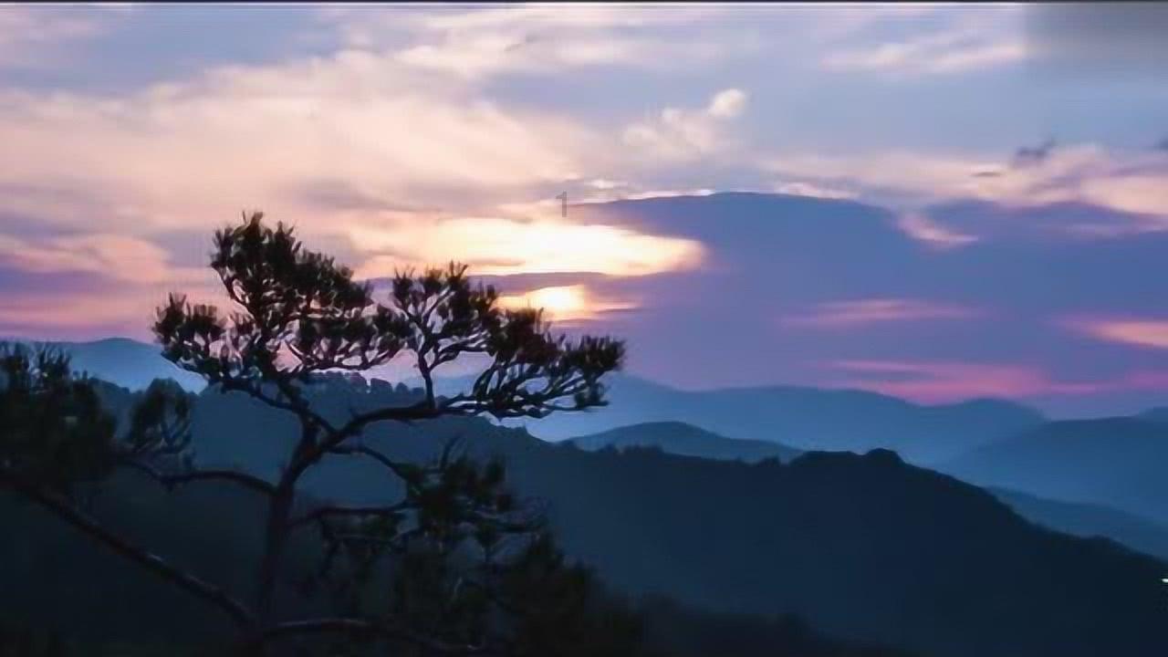 春雨直播app